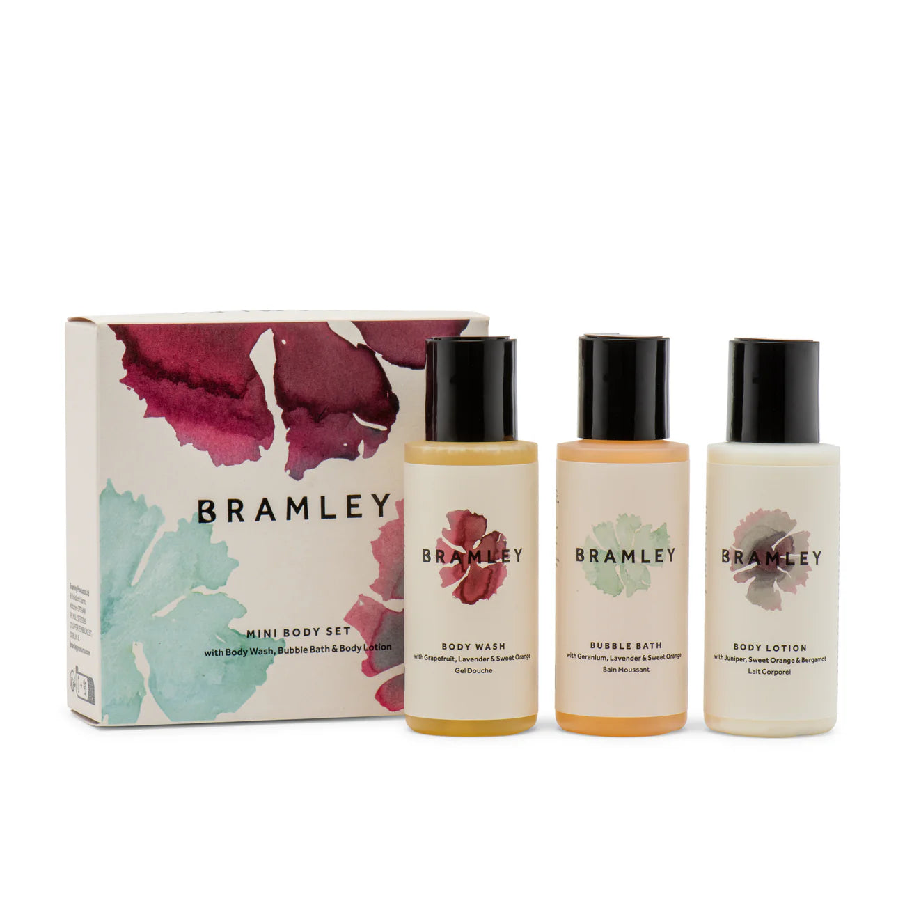 Mini Body Set