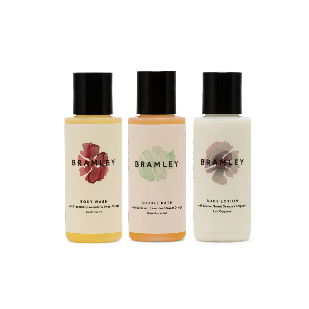 Mini Body Set